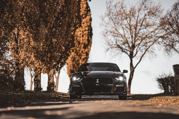 SuperNopea Kazino Android/iOS programa